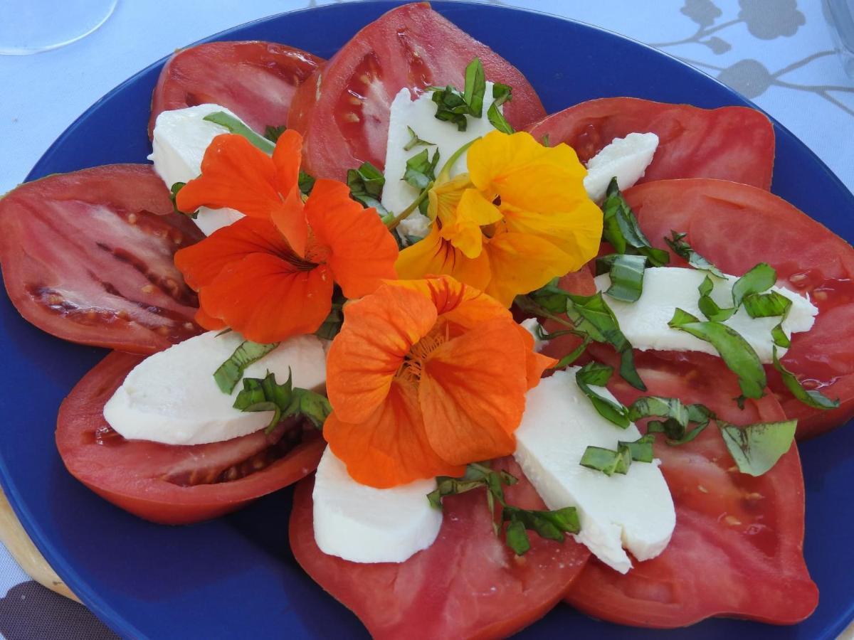Bed and Breakfast La Dame Fines Puybegon Exterior foto